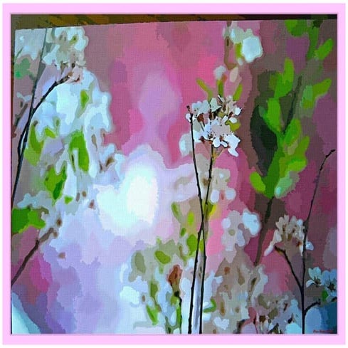 NAGOYA JAPÓN CHERRY BLOSSON by Paco Barberá