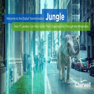 Welcome to the Digital Transformation Jungle