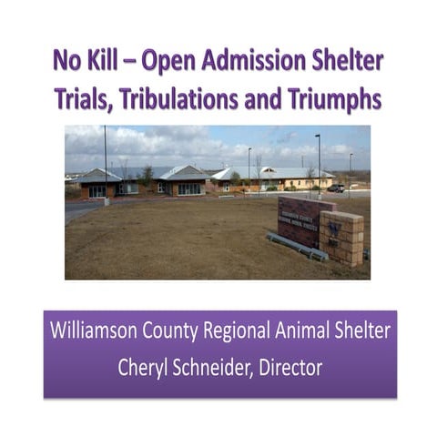No Kill Open Admission Shelter – trials, tribulations and triumphs