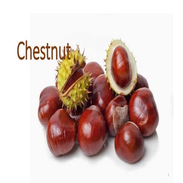 Chestnut production | PPTX