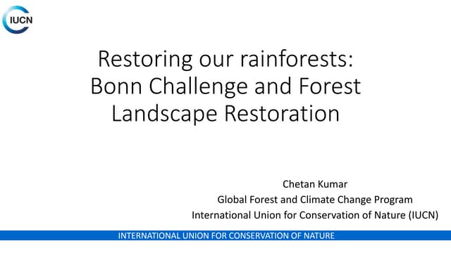 Restoring our rainforests: Bonn Challenge and Forest Landscape Restoration