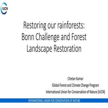 Restoring our rainforests: Bonn Challenge and Forest Landscape Restoration