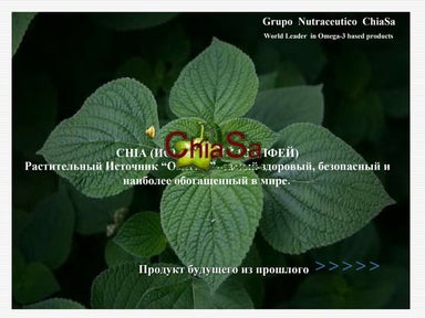 Chia (испанский шалфей).vika origen.ppt1