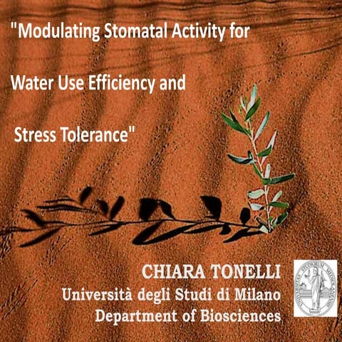Modulating Stomatal Activity For Water Use Efficiency And Stress Tolerance