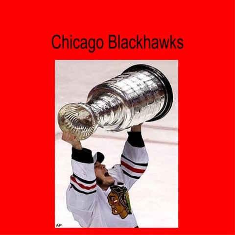 Chicago blackhawks