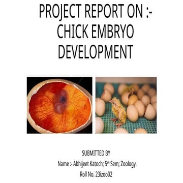 Chick embryo project by Abhijeet (23izoo02).pptx