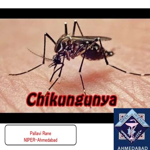 Chickengunya