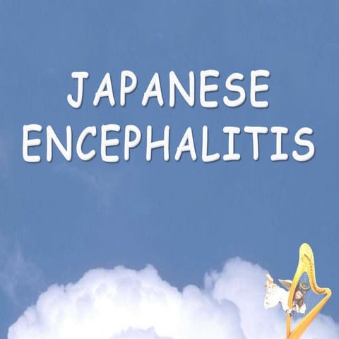 Chicken gunya and je