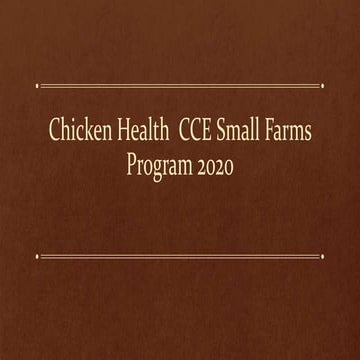 Common Chicken Health Issues and How to Identify Them | PDF