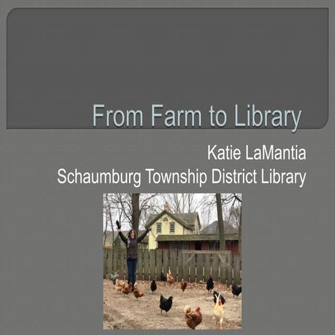 Tinker- Chicken presentation