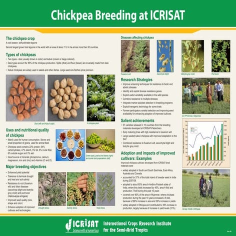 Chickpea breeding at ICRISAT