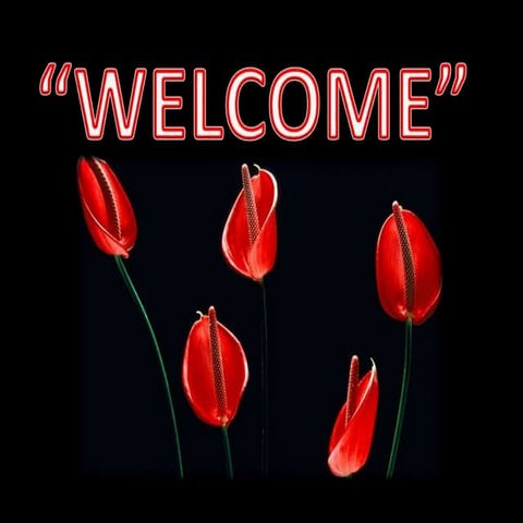 Chickpea -minimum seed stndrds