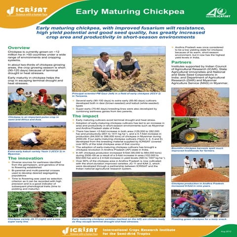 Early maturing chickpea