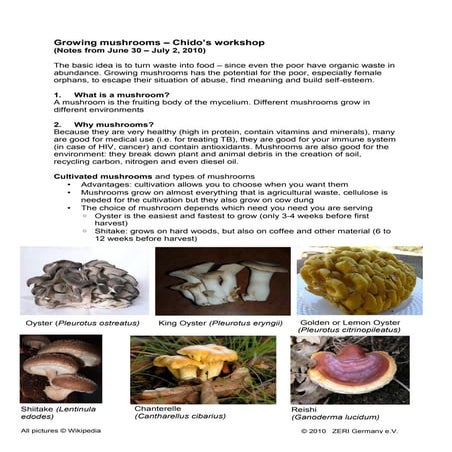 Chidos open source workshop notes