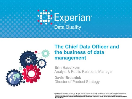 The Chief Data Officer: Bridging the gap between data and decision-making