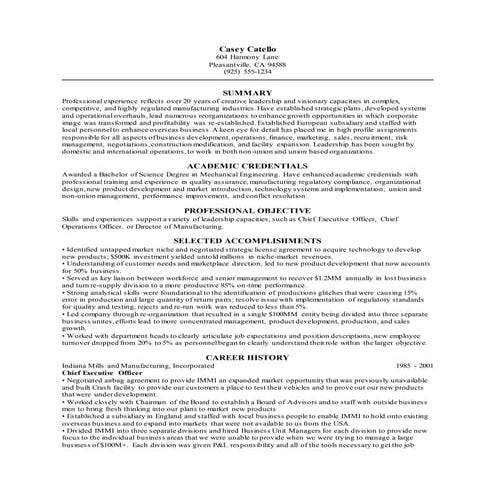 Chief executive officer CV template