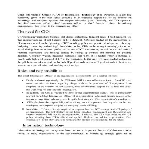 Chief information officer Assignment