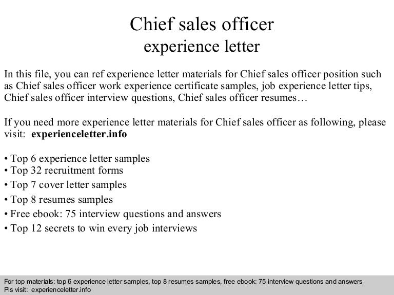 Chief Sales Officer Experience Letter