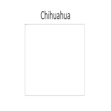 10+ Cutest Gifts for Chihuahua Lovers