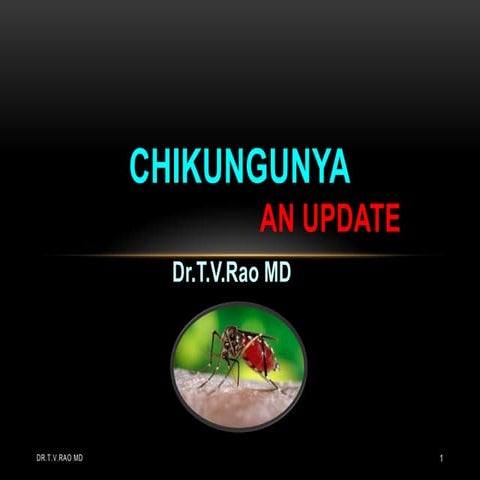 Chikungunya 110904004443-phpapp02