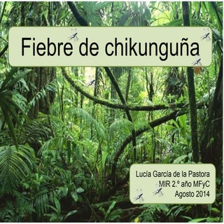 Fiebre de chikungunya