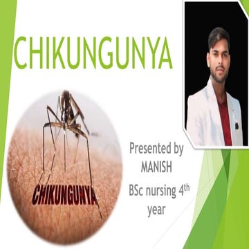 chikungunya fever /chikungunya disease .pptx