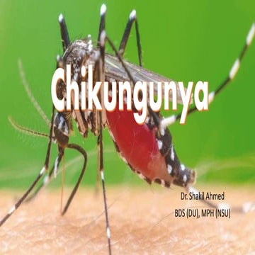 Chikungunya 