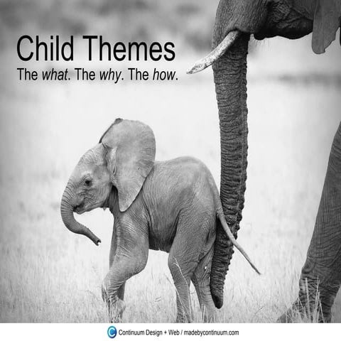 WordPress Child Themes: The what. The why. The how.