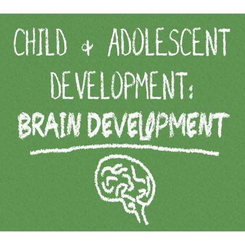 BRAIN DEVELOPMENT