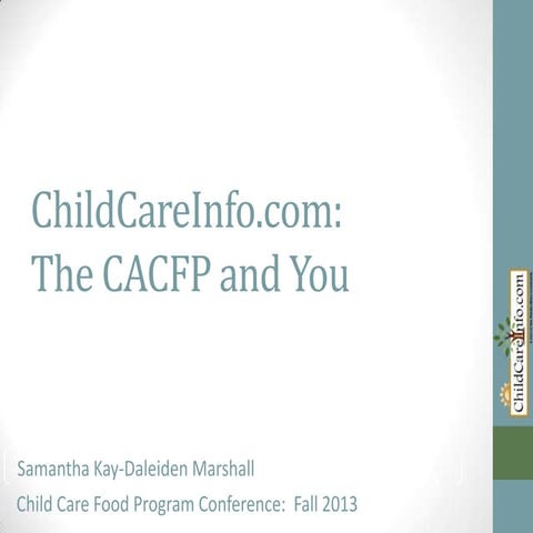 Child careinfo roundtable_2013_cci template_for online