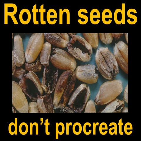 Rotten seeds do not procreate. | PDF