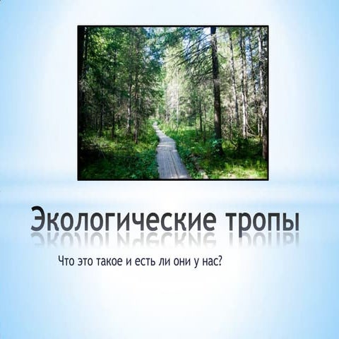 Детям про экотропы | PPT