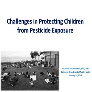 Childrens Health Pesticide Exposure