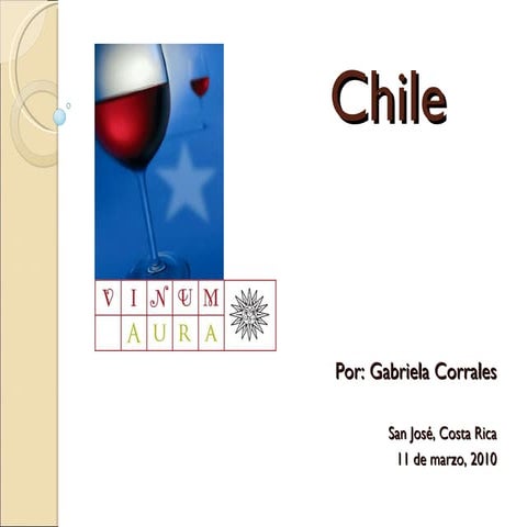 Cata de Vinos de Chile