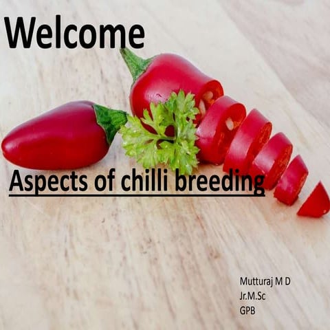 Chilli  breeding