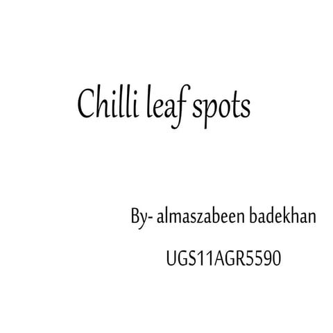 Chilli leaf spots 