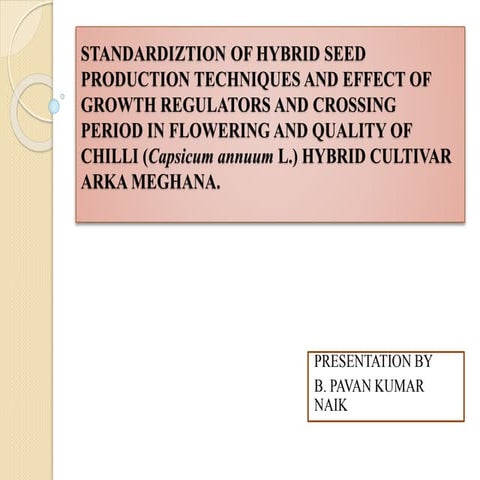 chilli-seedproduction.pptx
