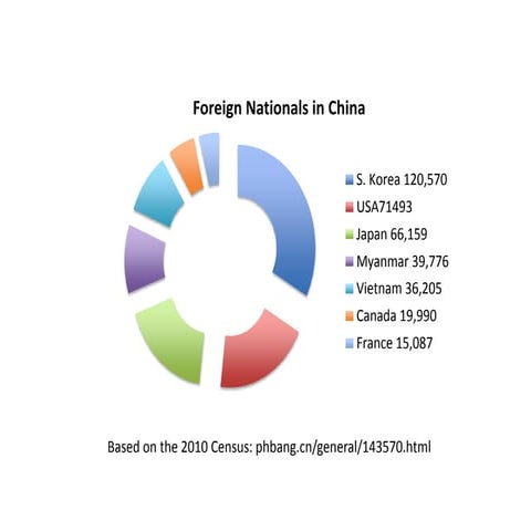 Statistics About Expats in China | PPTX