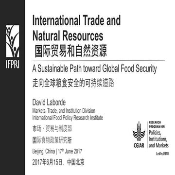 A globalized crisis or a crisis of the globalization? | PPTX