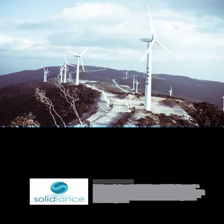 The China market for renewable energy: boom or bust ? | www.solidiance.com