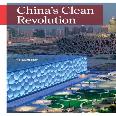 China Clean Revolution
