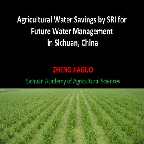 1185 - Agricultural Water Savings by SRI for Future Water Management