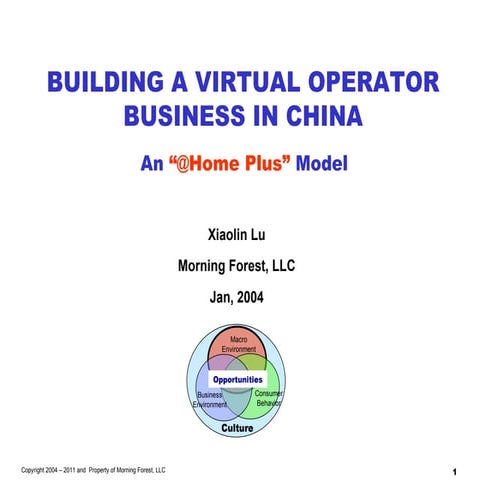 Building A Virtual Operator in China