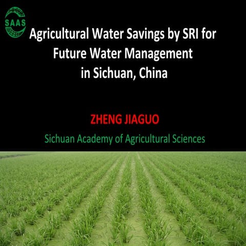 1404- Agricultural Water Savings by SRI for Future Water Management  in Sichu...