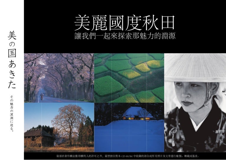 Chinese2