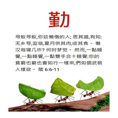 Chinese Literary Motivational Diligence Tract.pdf