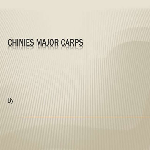 Chinies major carps