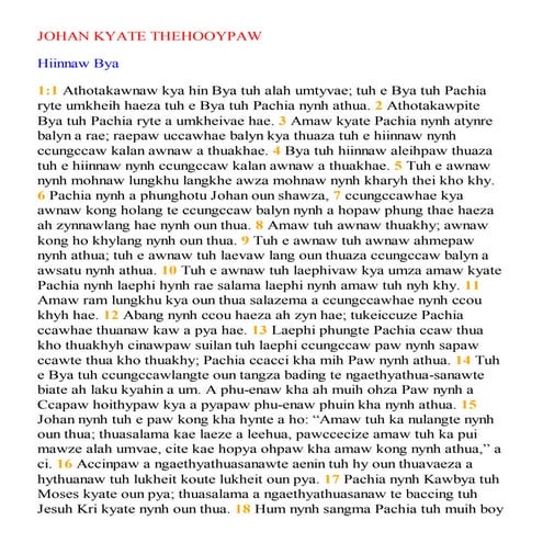 Chin zotung bible   gospel of john