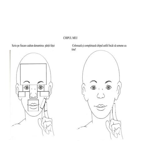 Chipulmeu descriere portret