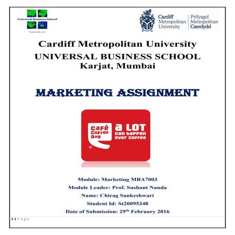 Chirag sankeshwari st20095348_mba7003